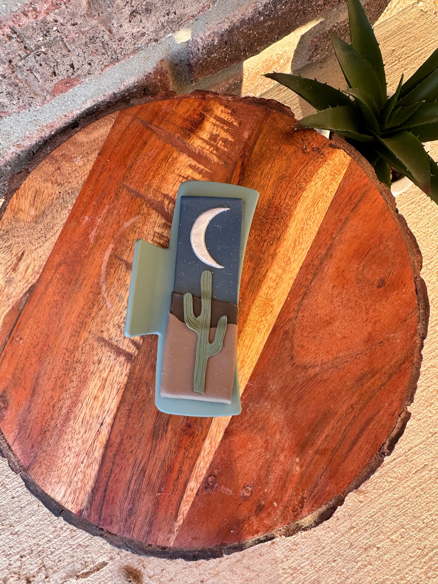 Desert Scene Claw Clips