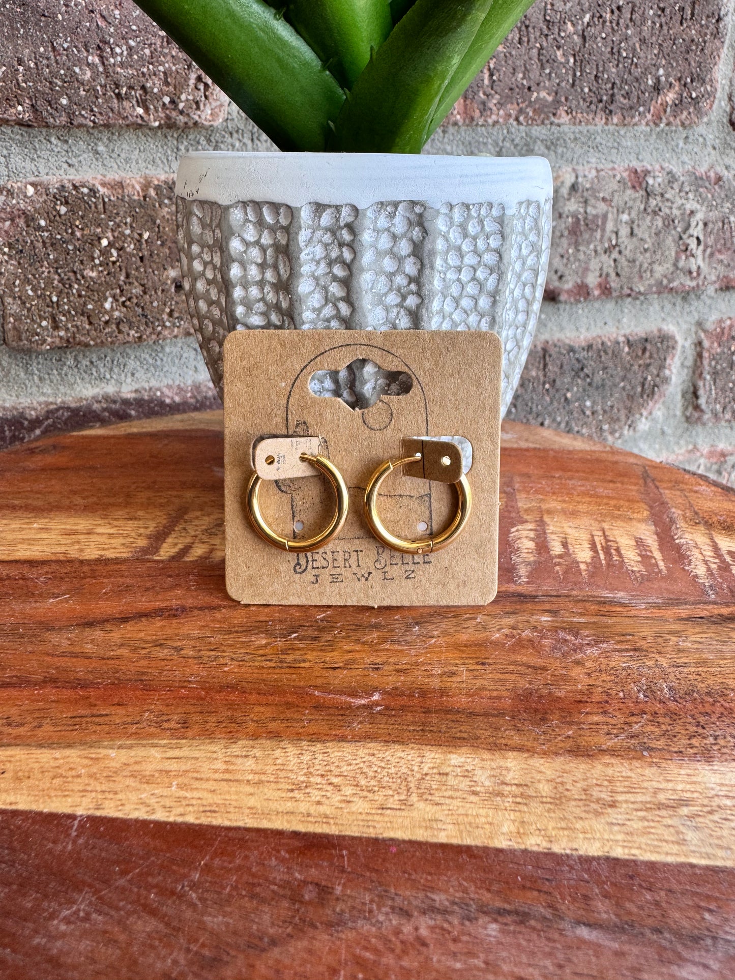 The Luna Lever Back Hoops