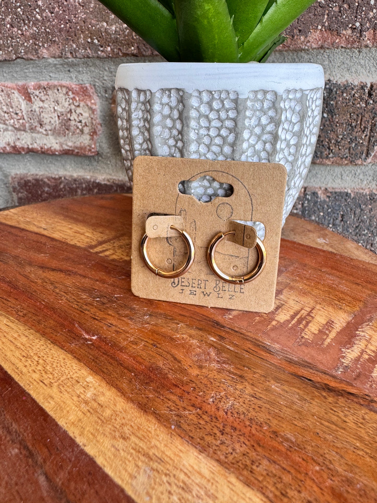 The Luna Lever Back Hoops