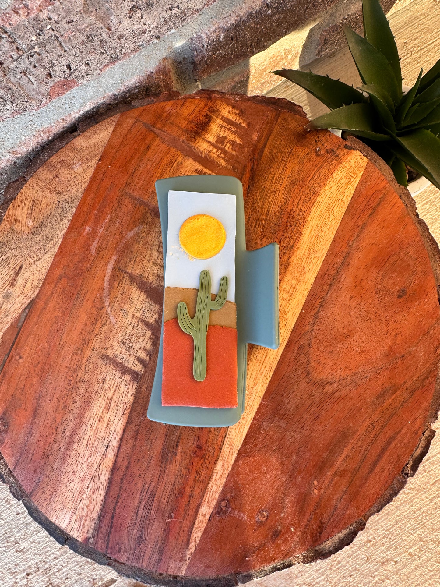 Desert Scene Claw Clips