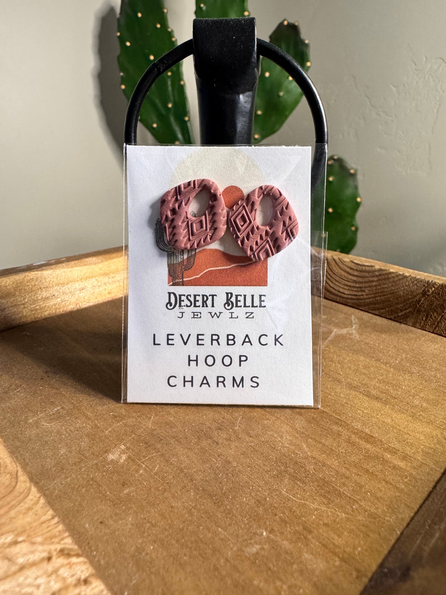 Desert Daze Leverback Charms
