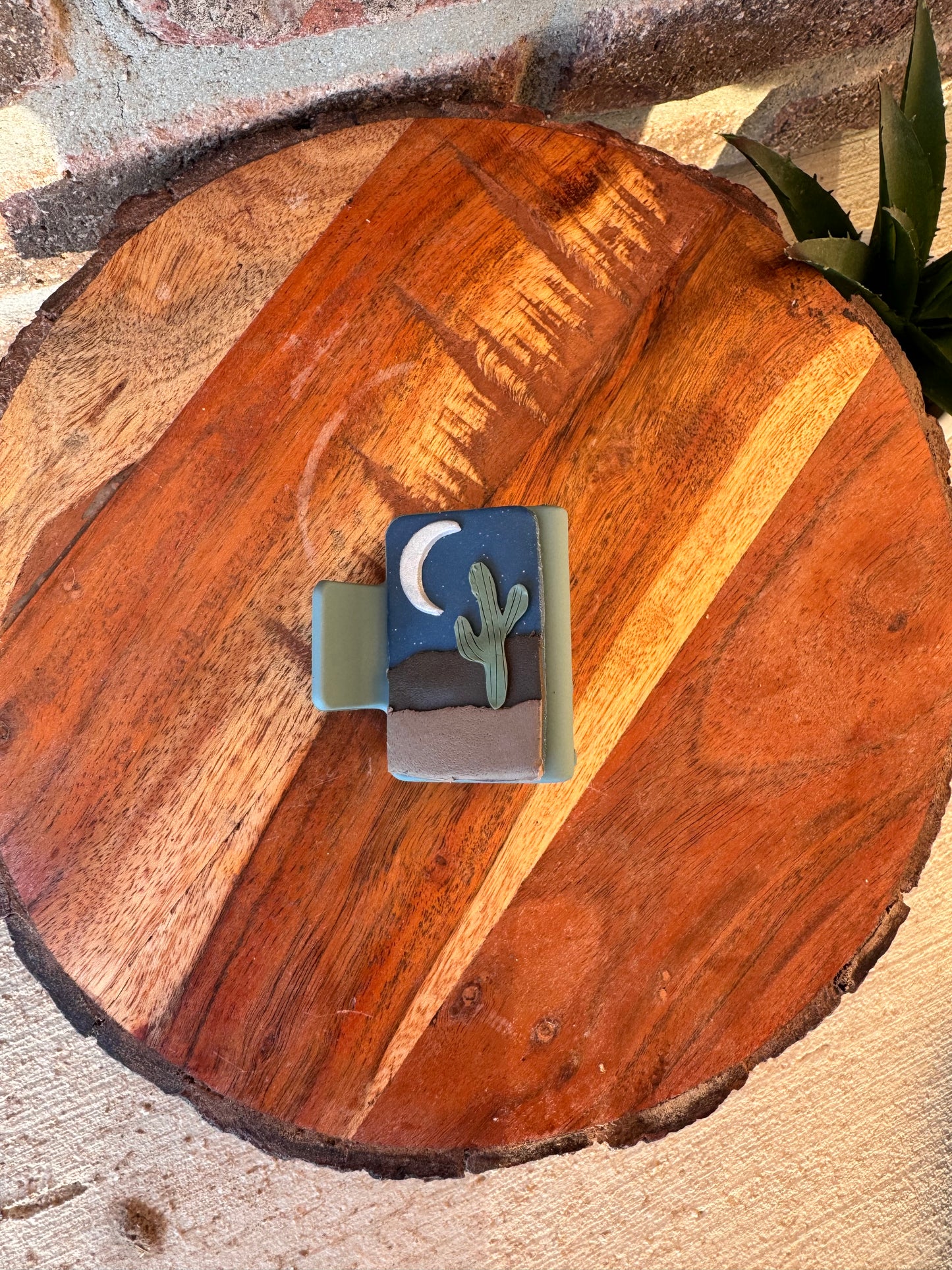 Desert Scene Claw Clips