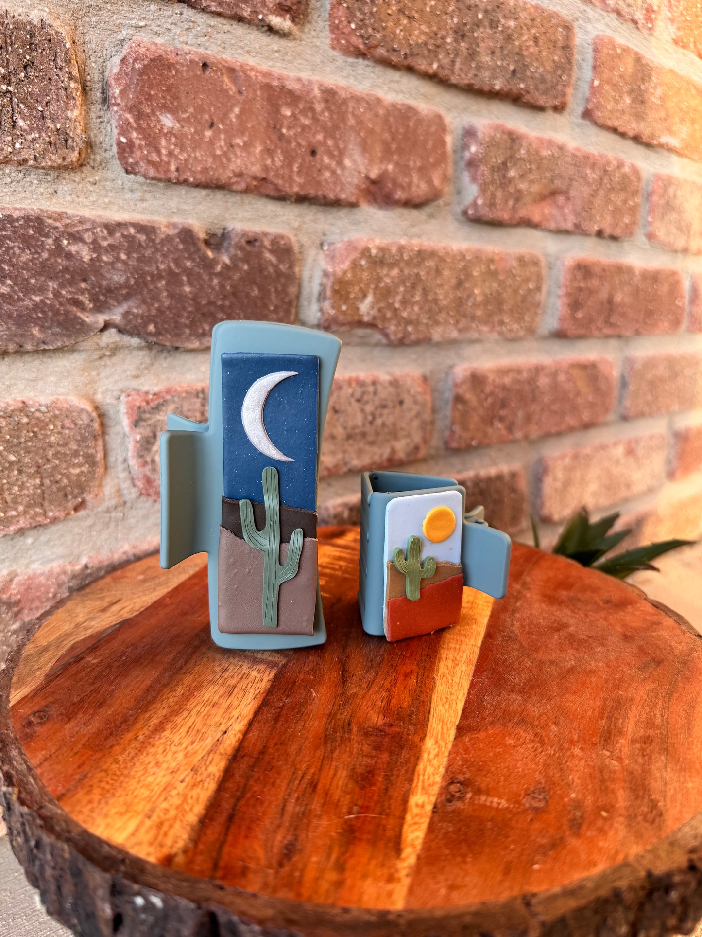 Desert Scene Claw Clips