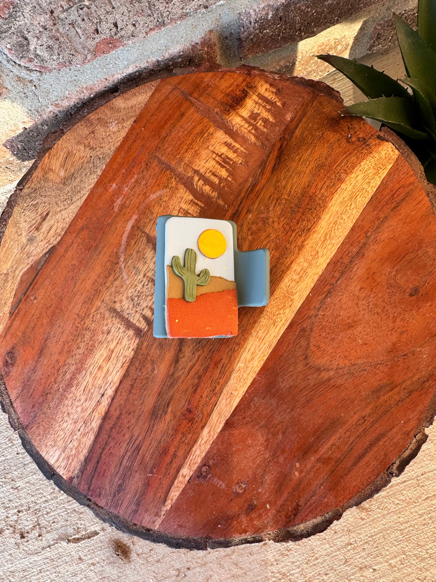 Desert Scene Claw Clips