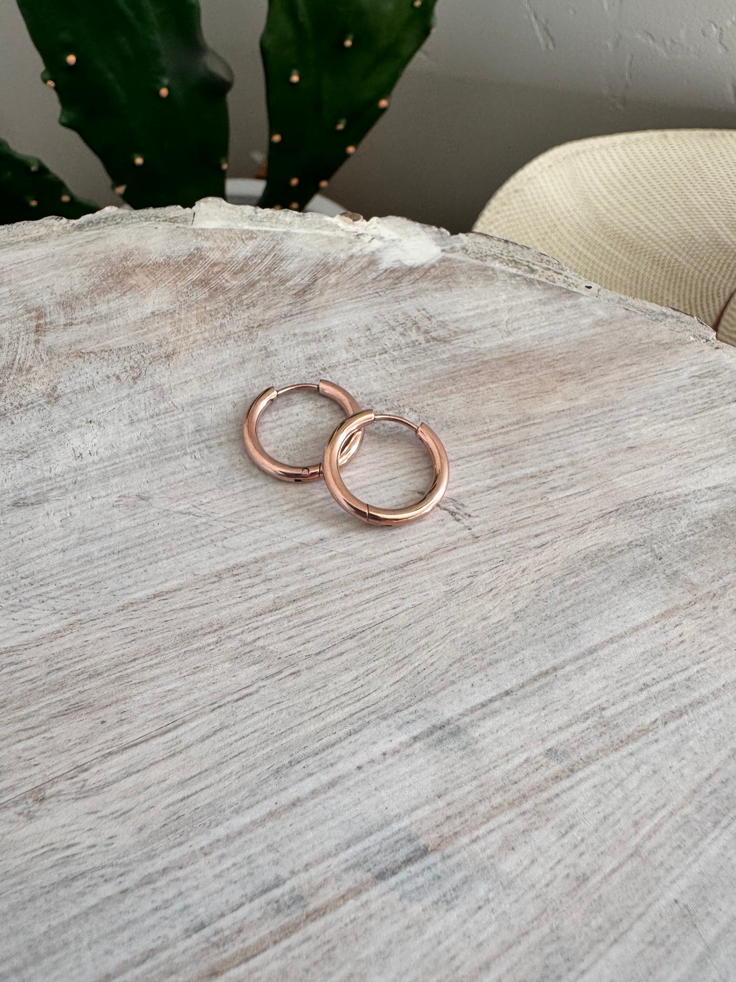 The Luna Lever Back Hoops
