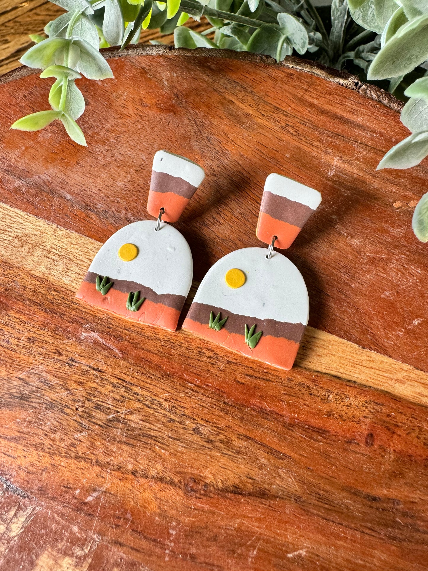 Desert Scene Earrings