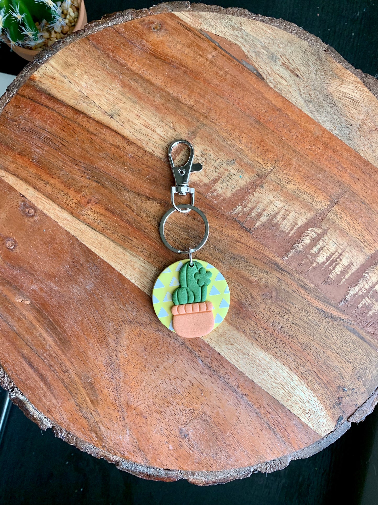 Potted Cactus Keychains