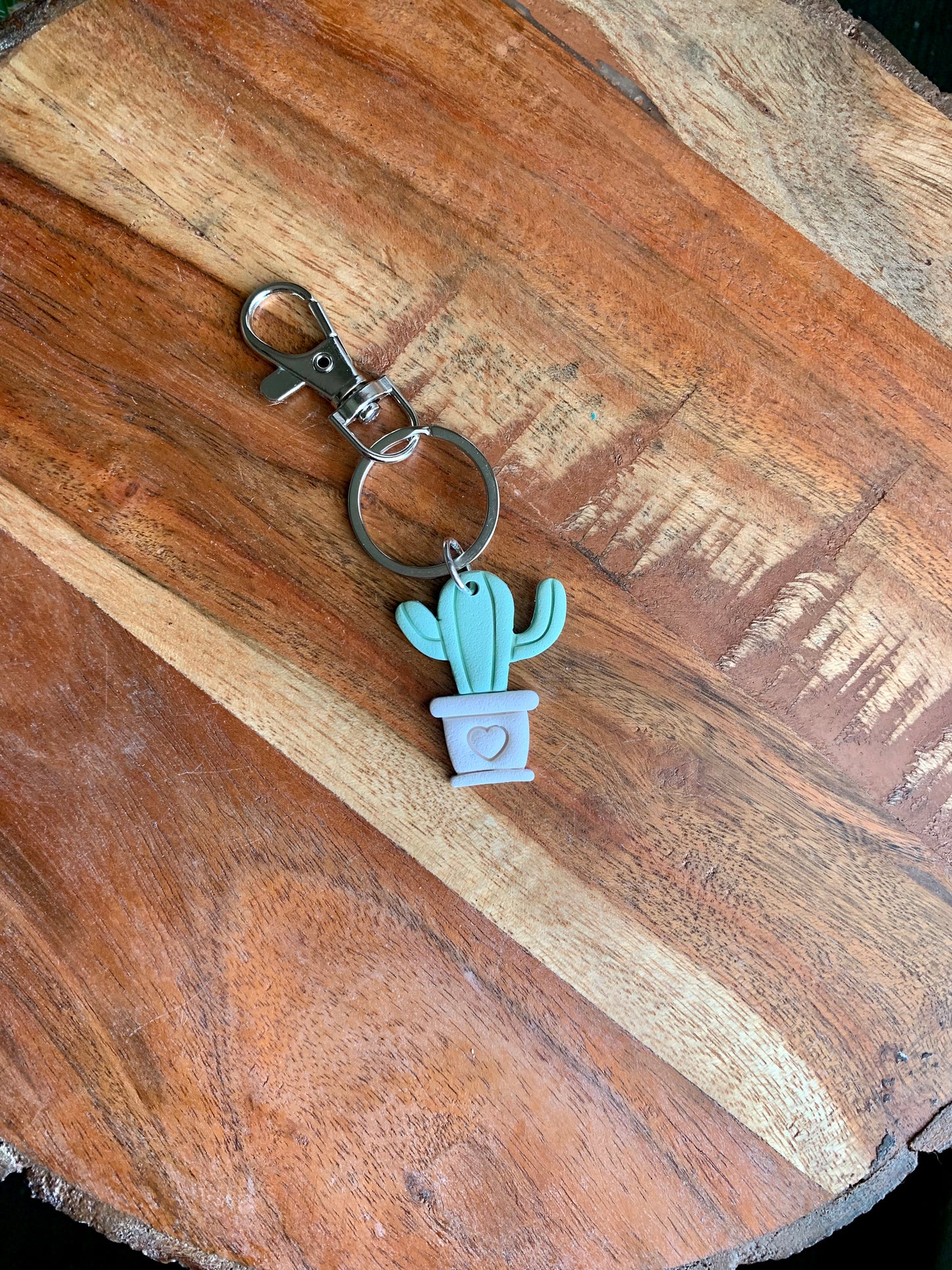 Potted Cactus Keychains